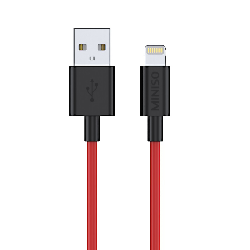 Charging Cable with Lightning Connector